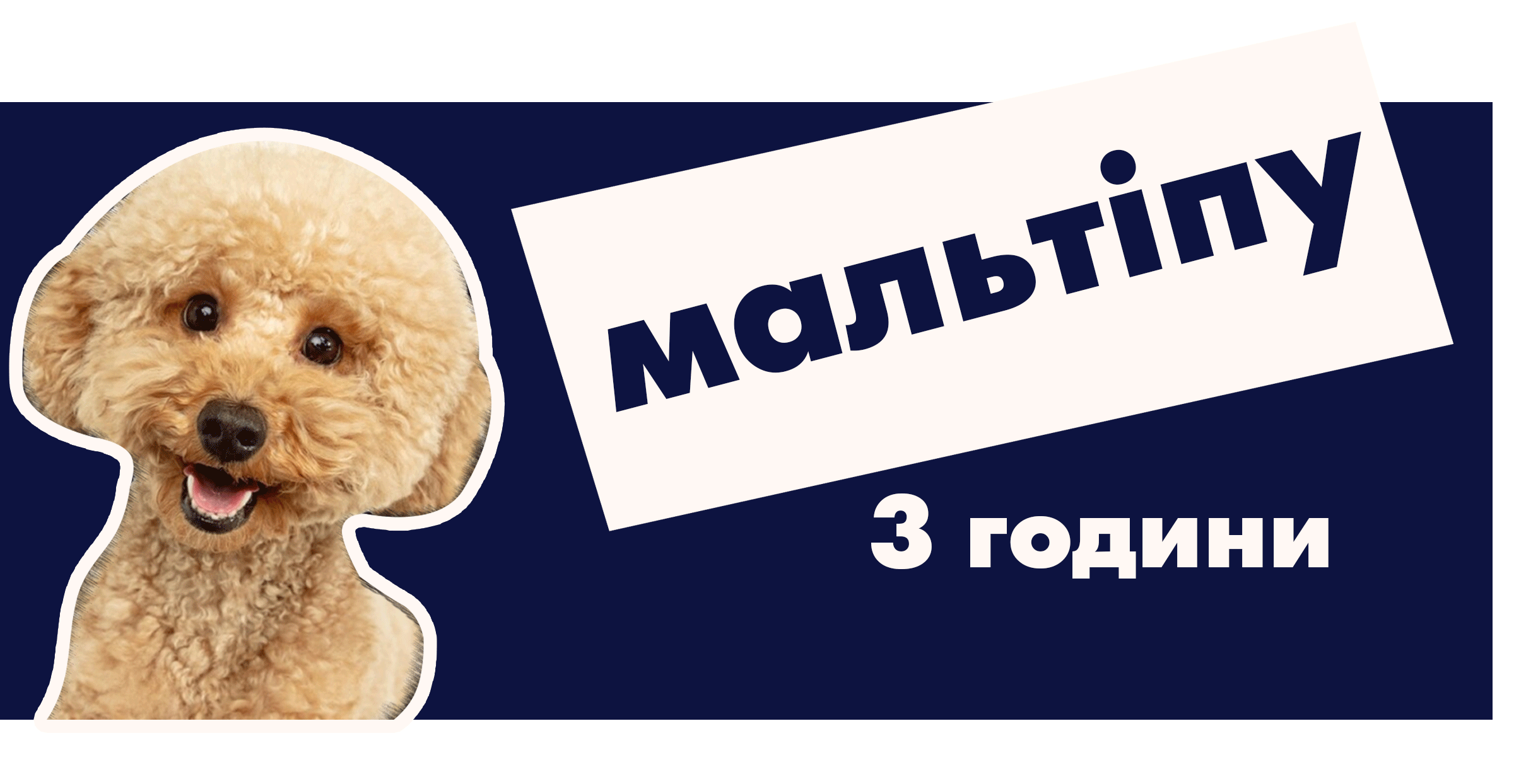 Мальтіпу