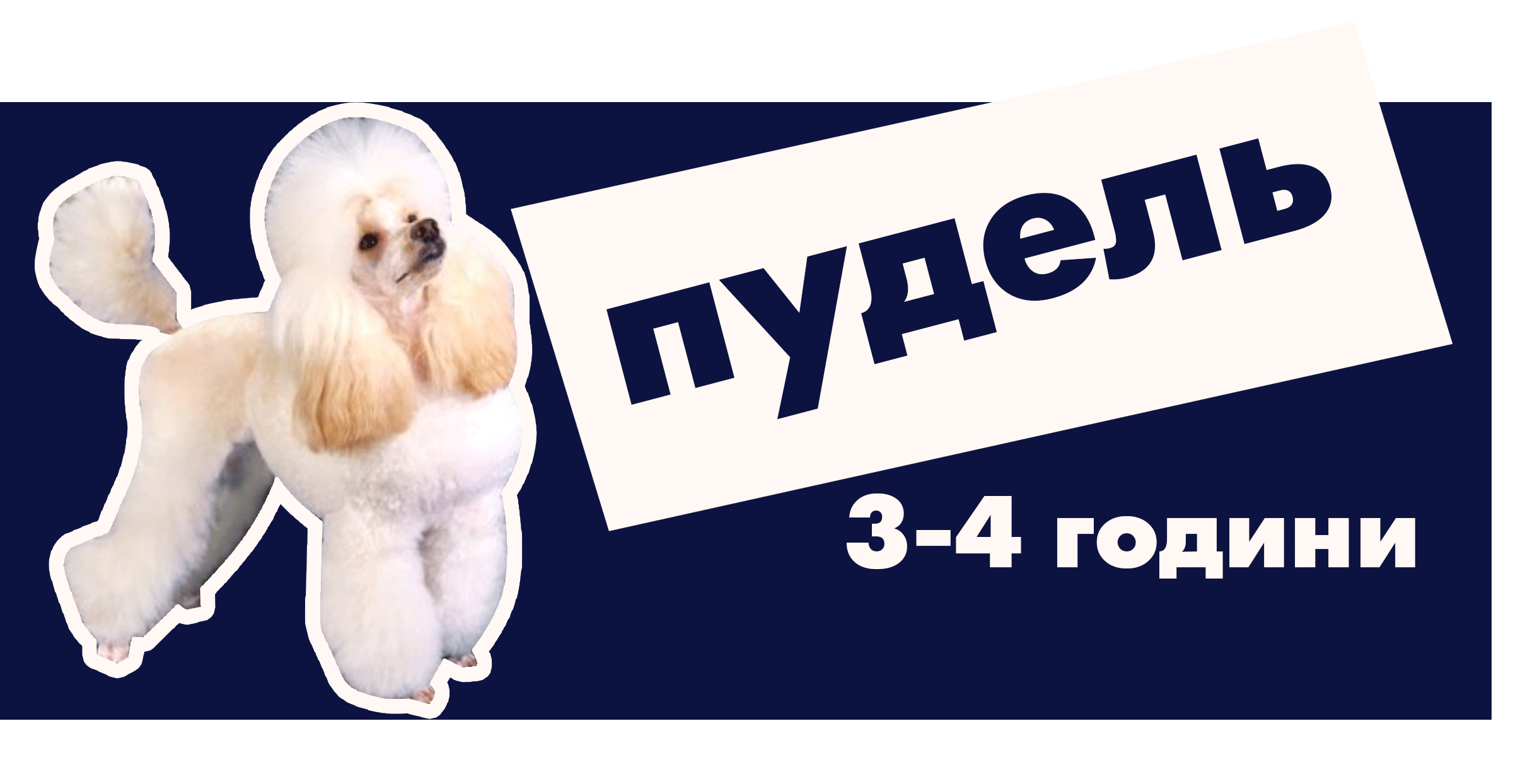 Пудель