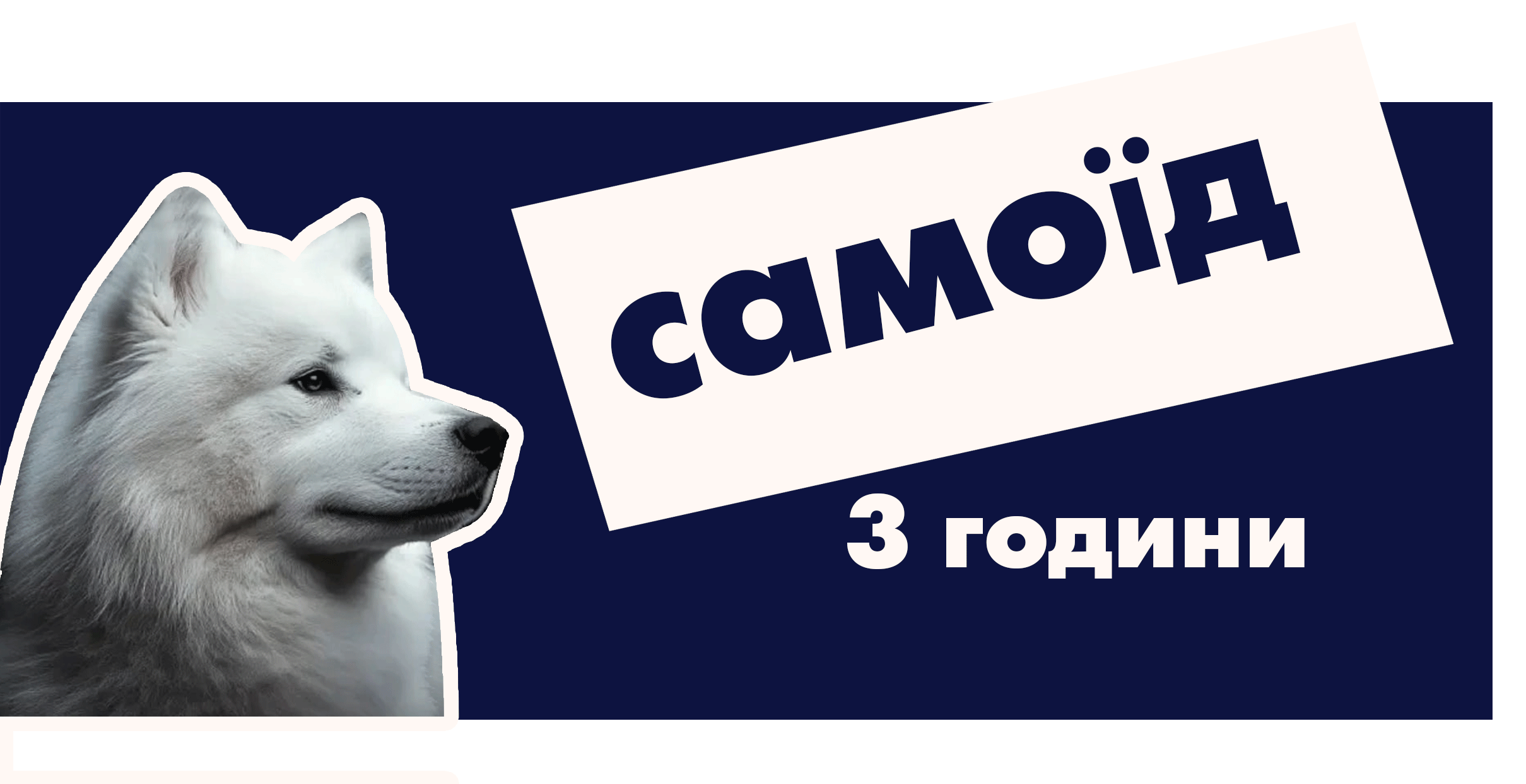 Самоїд