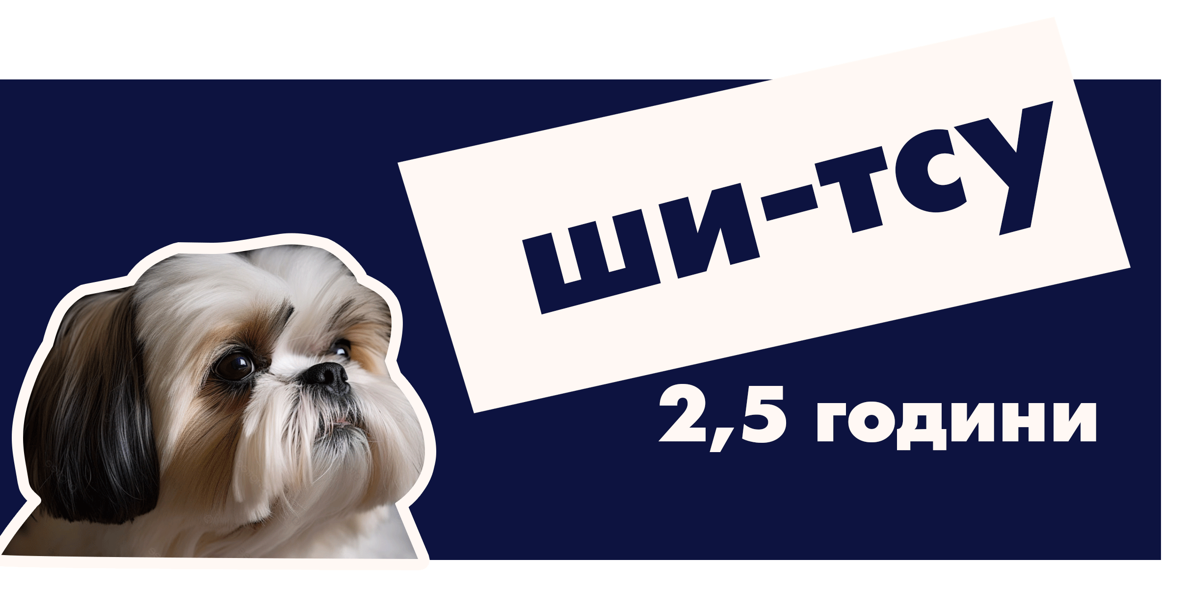 Ши-тсу